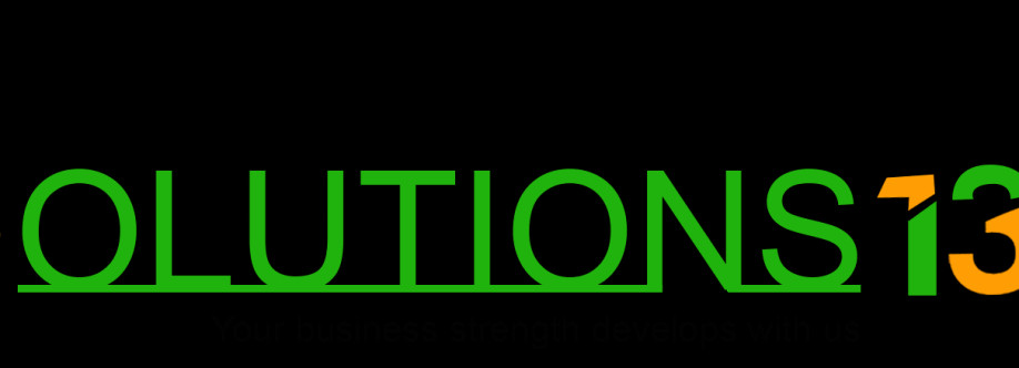 Solutions 1313 Cover Image