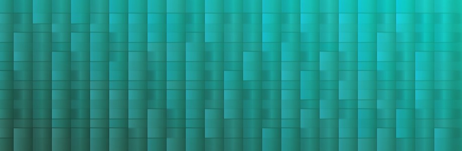 Needleleaf Foundation Cover Image
